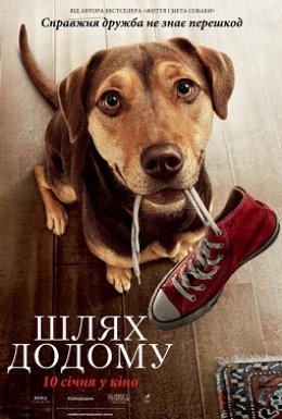 Шлях додому