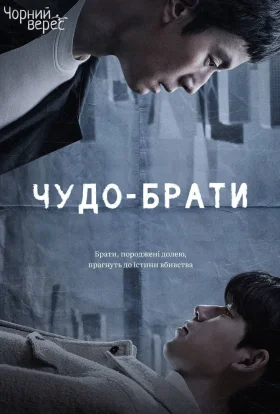 Чудо-брати