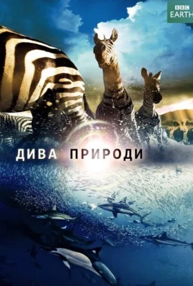 Дива природи / Бі-Бі-Сі Найвеличніші події живої природи