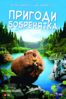 Пригоди бобреняти / Пригоди бобренятка