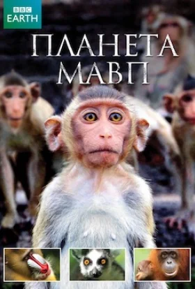 Планета мавп