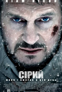 Сірий / Сутичка