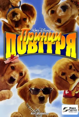 Принци повітря