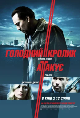 Голодний кролик атакує
