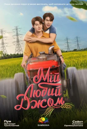Мій любий Джом