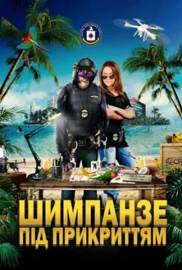 Шимпанзе під прикриттям