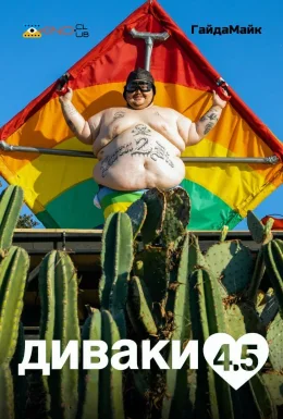 Диваки 4.5